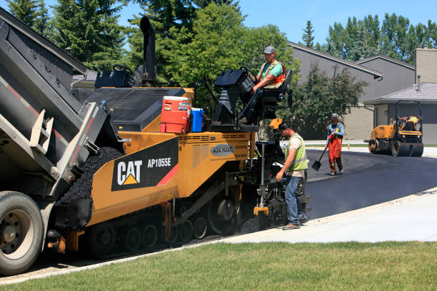 Best Driveway Paving Contractor  in Flagstaff, AZ